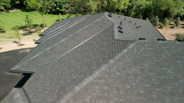 Best Roof Moss and Algae Removal  in Wheeler, TX