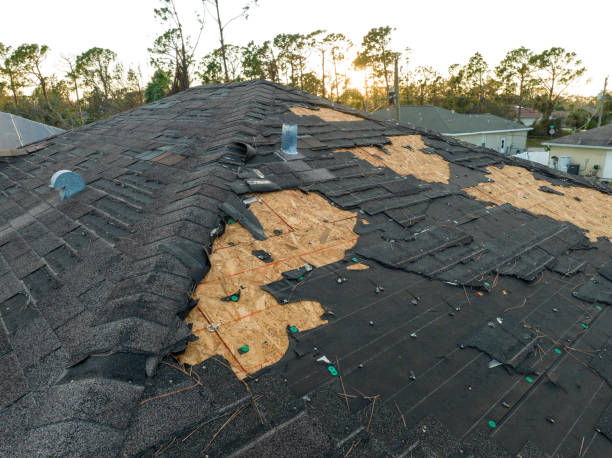 Best Roof Insulation Installation  in Wheeler, TX